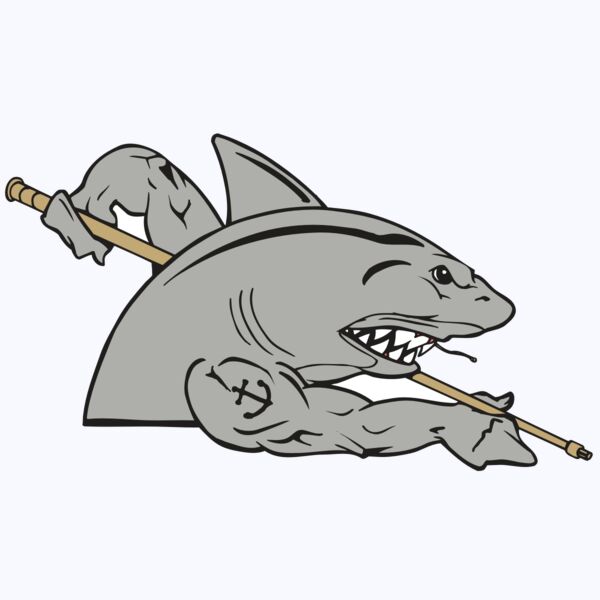 AR POOL 27 RC Thumbnail