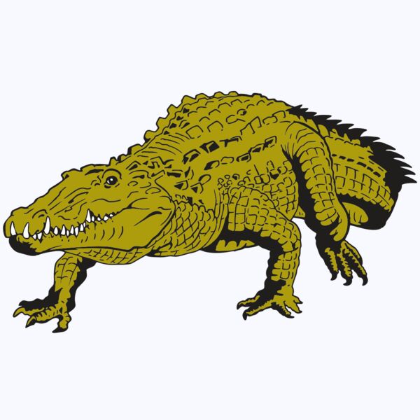 AR GATOR 13 RQC Thumbnail