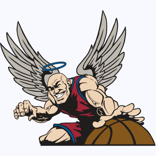 AR17 ANGEL BSKT 04 RQC Thumbnail