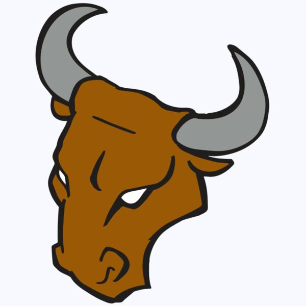 AR BULL 28 RC Thumbnail