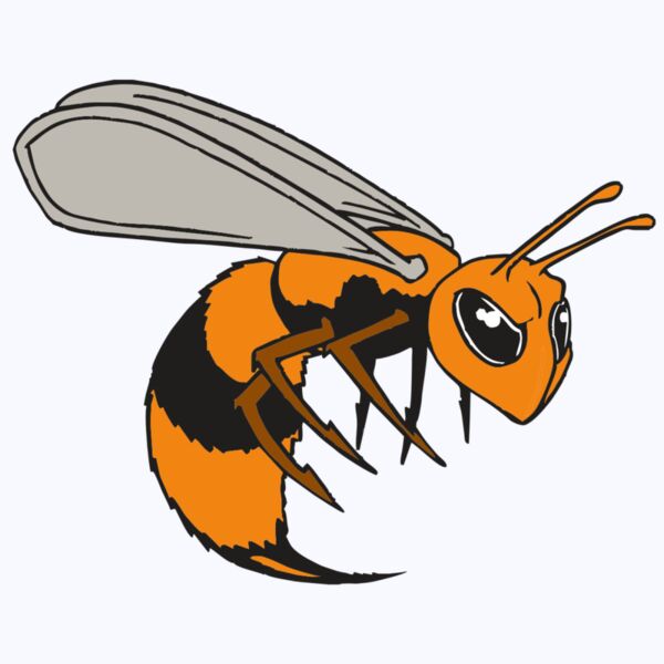 AR BEE 34 RC Thumbnail