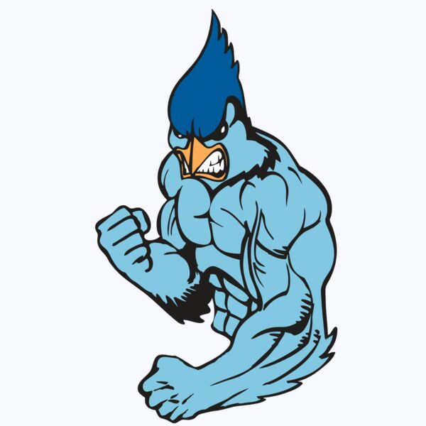 BAW BLUEJAY 13 RC Thumbnail