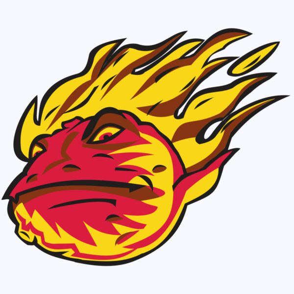 COMET HD0501 RQC Thumbnail