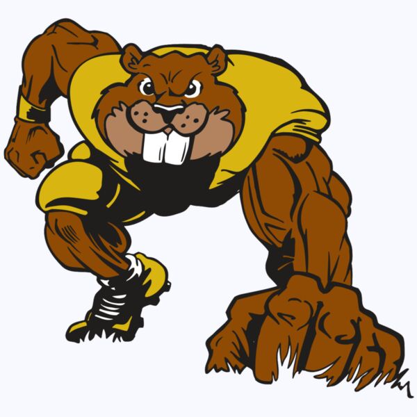 AR14 BEAVER FBLL 03 RQC Thumbnail