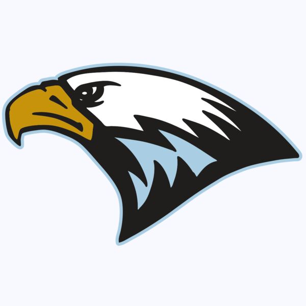 AR EAGLE 27 RC Thumbnail