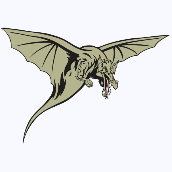 BAW DRAGON 12 RC Thumbnail