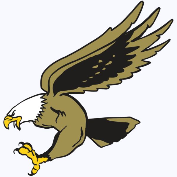 AR EAGLE 23 RC Thumbnail