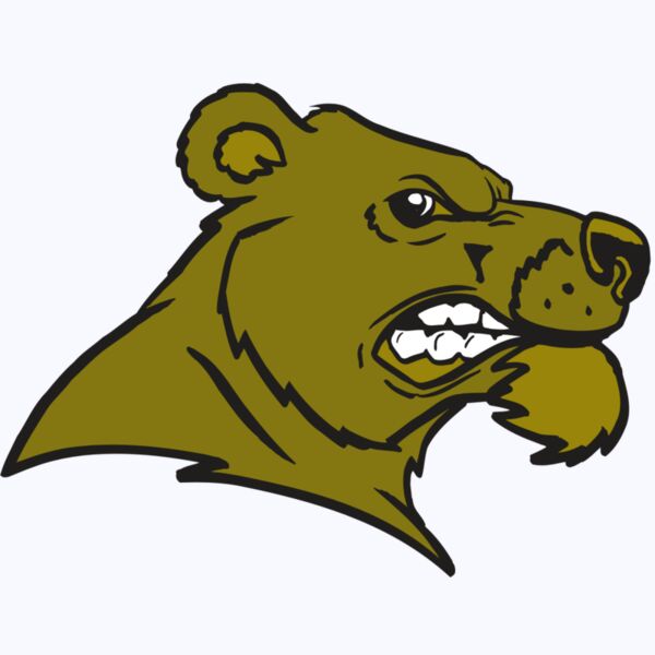 AR BEAR 11 RC Thumbnail