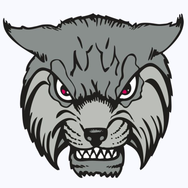 BAW BOBCAT 02 RC Thumbnail