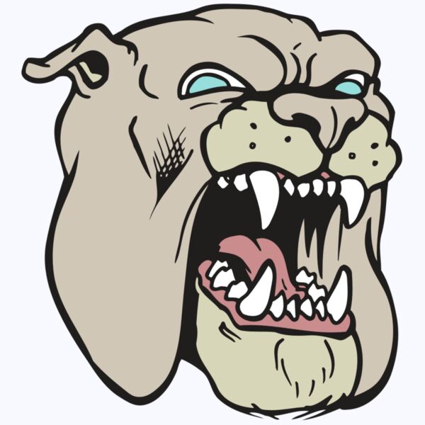 AR BDOG 42 RC Thumbnail