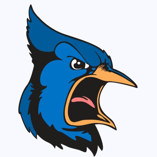 BAW BLUEJAY 03 RC Thumbnail