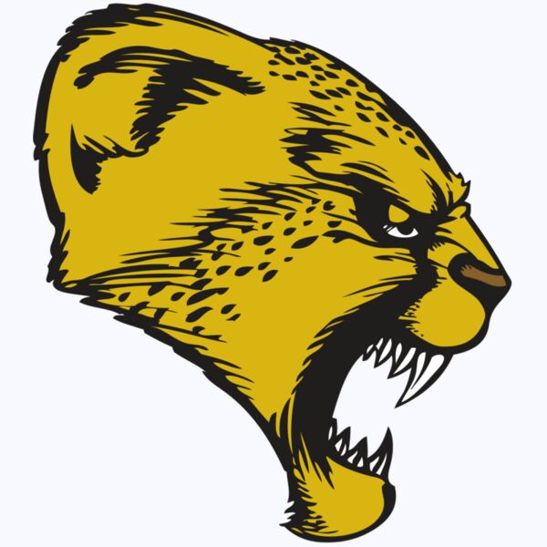 BAW CHEETAH 13 RC Thumbnail