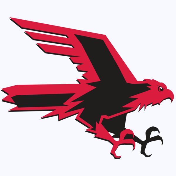 AR9 FALCON 02 RQC Thumbnail