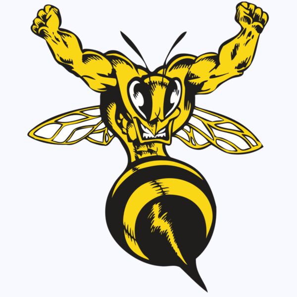 BAW BEE 04 RC Thumbnail