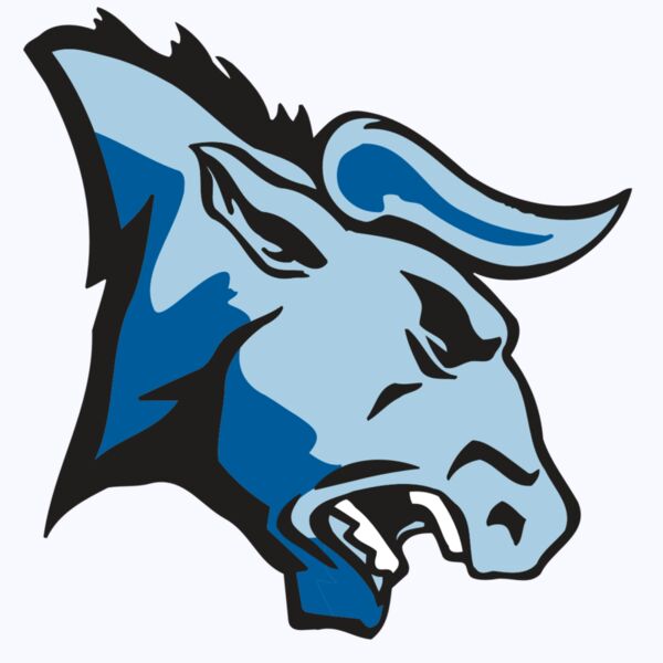 AR BULL 20 RC Thumbnail