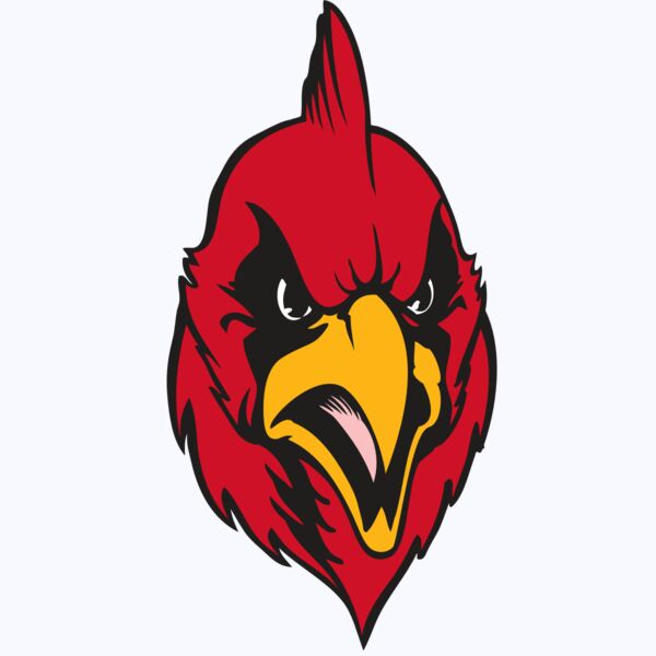 BAW CARDINAL 11 RC Thumbnail