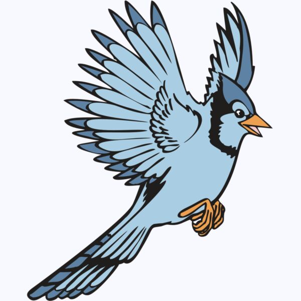 BAW BLUEJAY 12 RC Thumbnail