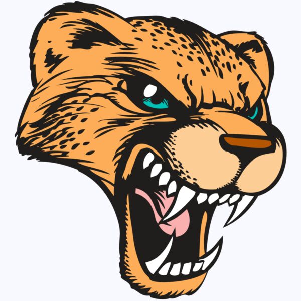 BAW CHEETAH 19 RC Thumbnail