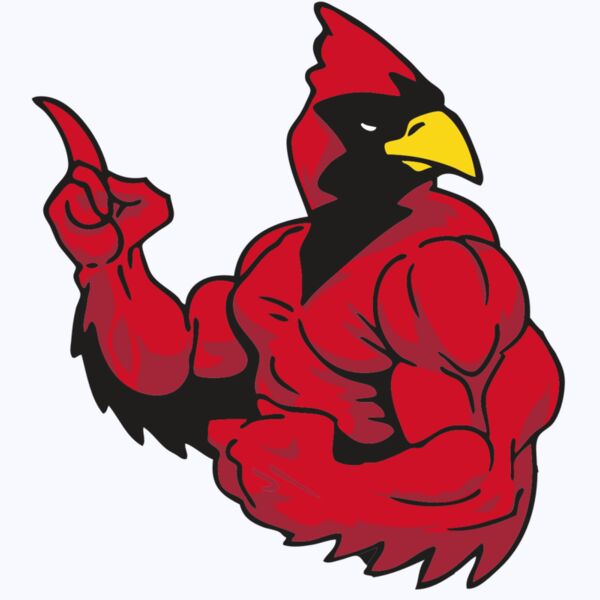 AR CARDINAL 28 RC Thumbnail