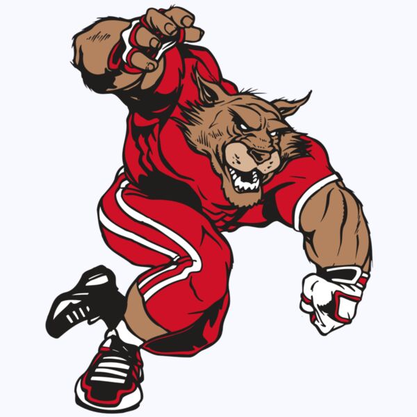 AR WILDCAT 32 RC Thumbnail