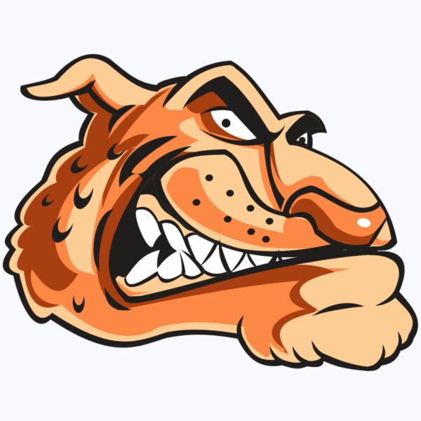 CHEETAH HD0503 RQC Thumbnail