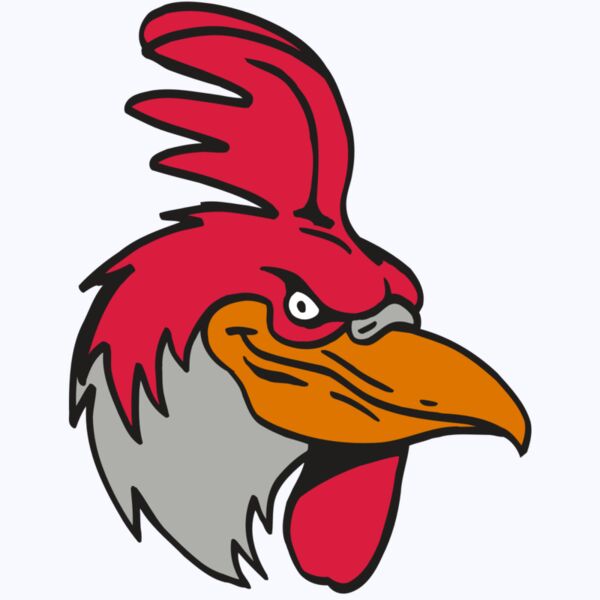 AR5 Gamecock 05 RQC Thumbnail