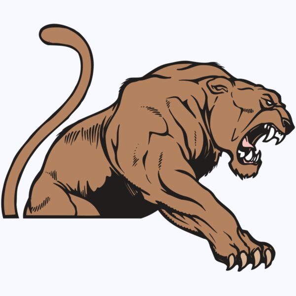 AR COUGAR 55 RC Thumbnail