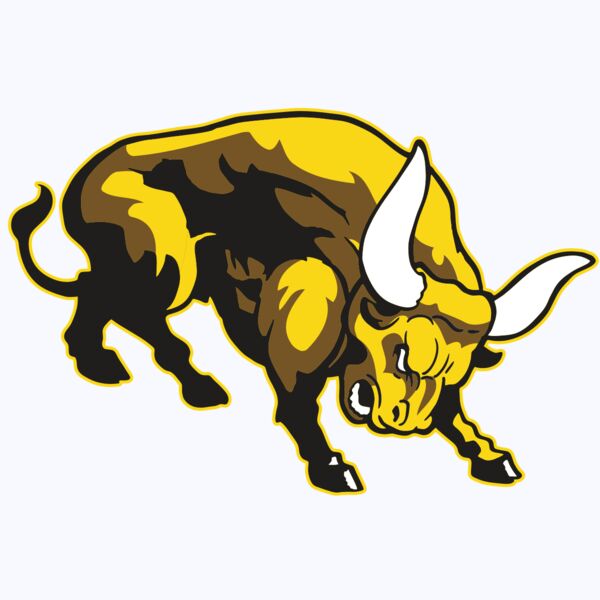 AR BULL 57 RC Thumbnail