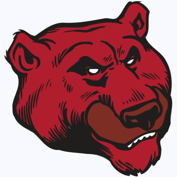 AR BEAR 10 RC Thumbnail