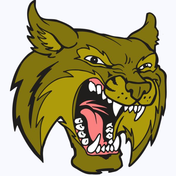 AR5 BOBCAT 20 RQC Thumbnail