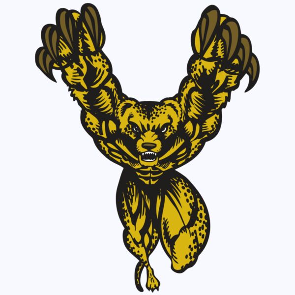 BAW CHEETAH 09 RC Thumbnail