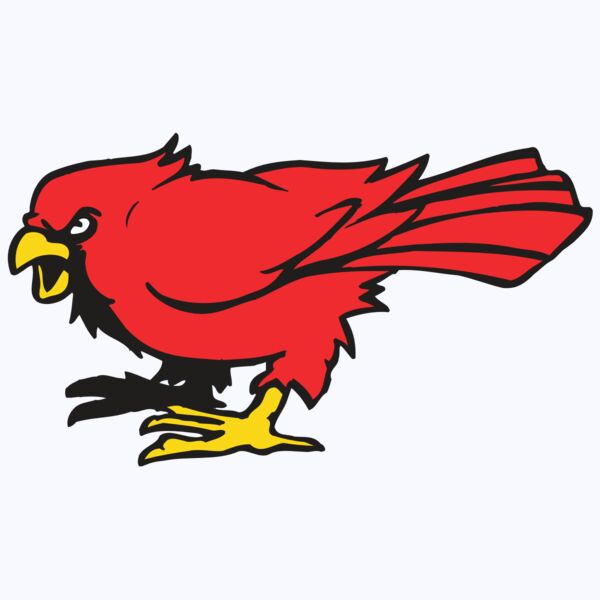 AR CARDINAL 11 RC Thumbnail