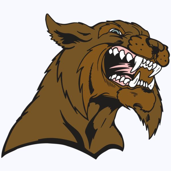 AR5 BOBCAT 21 RQC Thumbnail