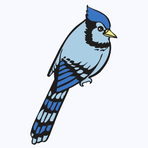 BAW BLUEJAY 08 RC Thumbnail