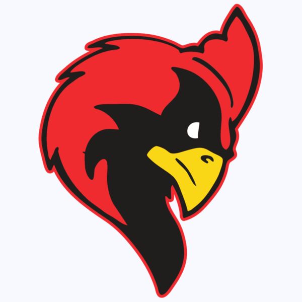 AR CARDINAL 24 RC Thumbnail