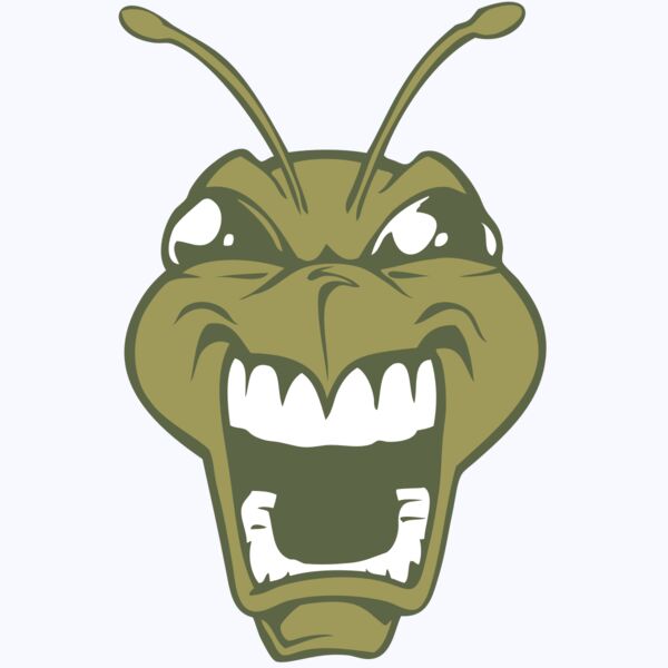 BAW BEE 13 RC Thumbnail