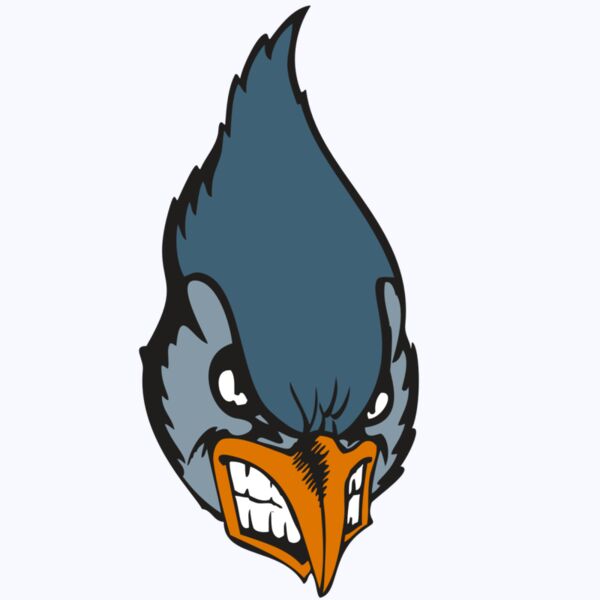 BAW BLUEJAY 01 RC Thumbnail