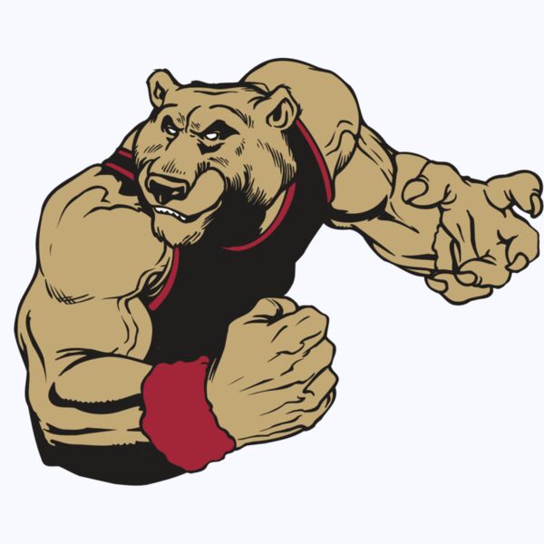 AR BEAR 40 RC Thumbnail