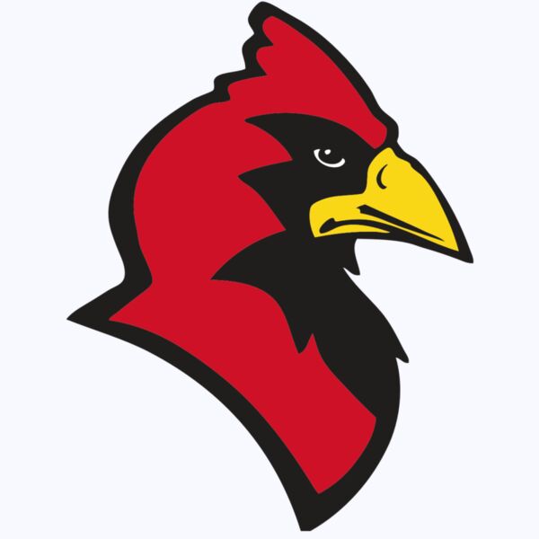 AR CARDINAL 20 RC Thumbnail