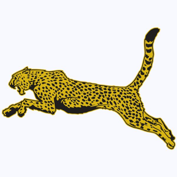 AR CHEETAH 10 RC Thumbnail