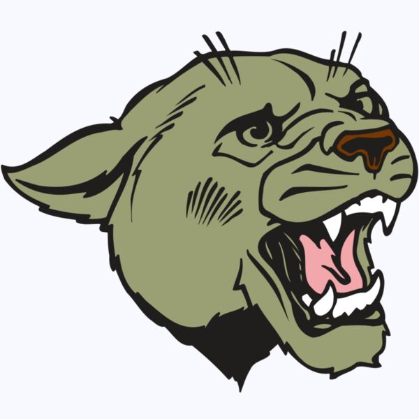 AR COUGAR 40 RC Thumbnail