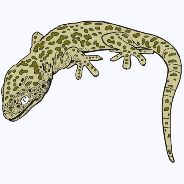 AR GEKO 19 RC Thumbnail