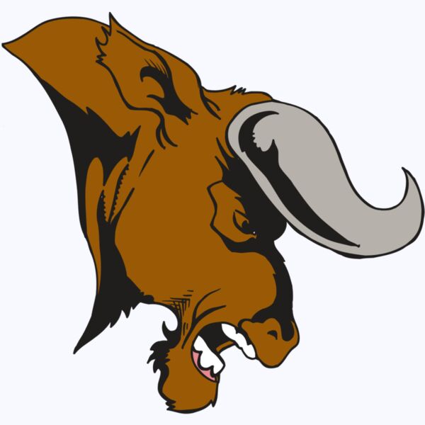 AR5 BULL 07 RQC Thumbnail