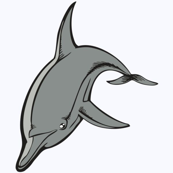 BAW DOLPHIN 03 RC Thumbnail