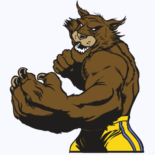 AR WILDCAT 48 RC Thumbnail