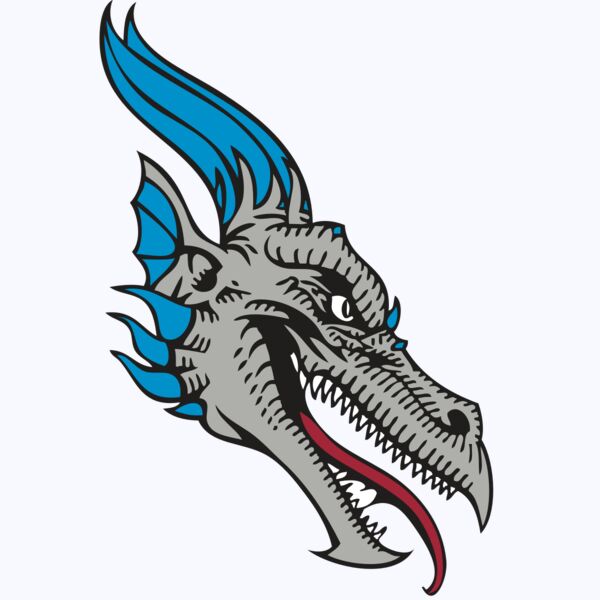 BAW DRAGON 07 RC Thumbnail