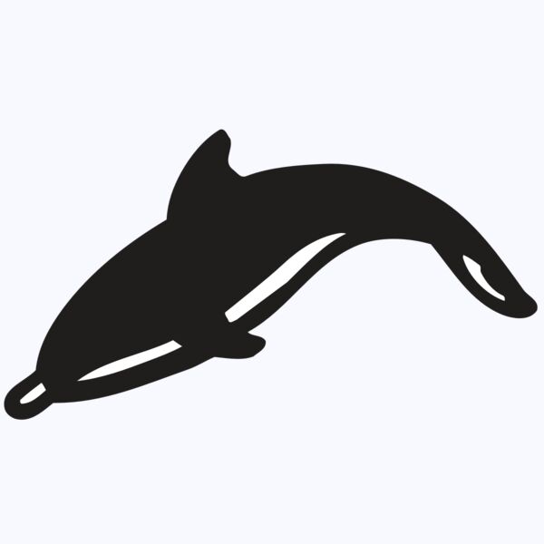 AR DOLPIN 16 RC Thumbnail