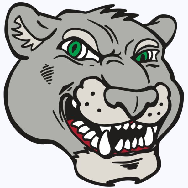 AR5 Cougar 06 RQC Thumbnail