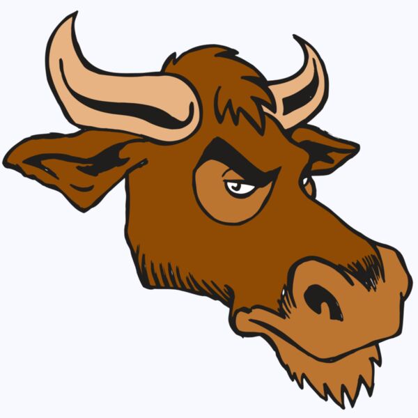 AR5 Bull 06 RQC Thumbnail