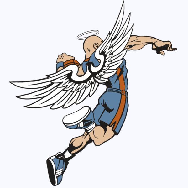 AR17 ANGEL BSKT 02 RQC Thumbnail